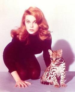 gh2u:  Ann Margaret via emmacooper) 