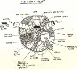jandirafeijo:  o coração humano (via papertissue)