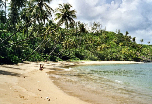 Grande Riviere Beach, Trinidad (via _Zinni_) The beach at Grande Rivière, on Trinidad’s north coast.