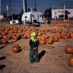 Kermit photo by Kenneth McGowan, 1979