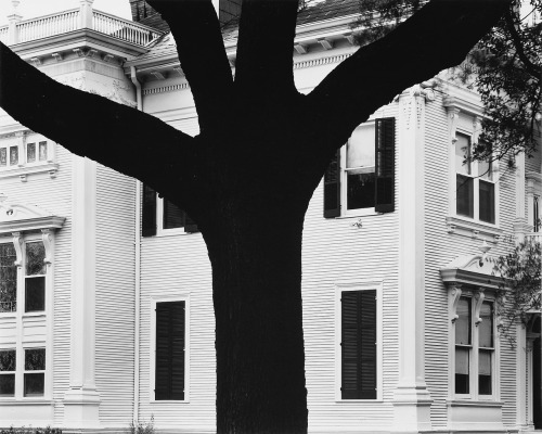 New Orleans photo by Michael A. Smith, 1984