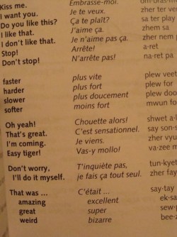 xoxoalexamarie:  musicjunkie20:  chibangs:dirtyprettything:-rainraingoaway:    boyfriend and I could learn a language this way. I’m all for forward thinking and modernised learning techniques, genius.(via fuckyeawecanlivelikethis)    Glad I took French