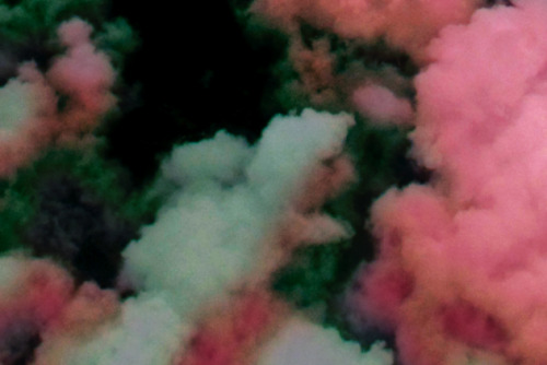madamezucker:  glitterrain:  bimbigardel:  twindiscovery   