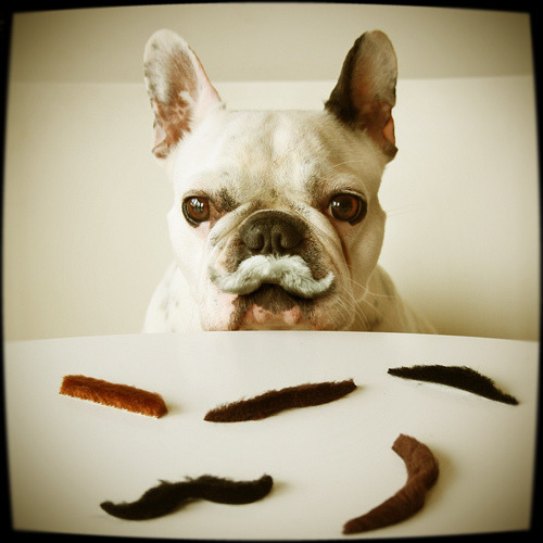 la chula (via © retales botijero)
Des Mustaches.