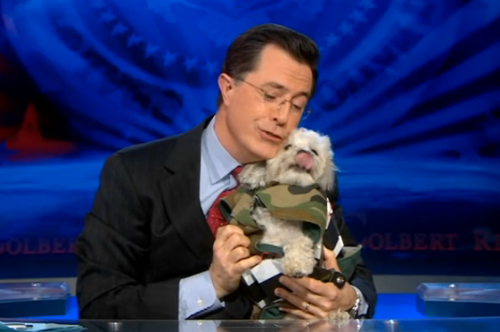 fuckyeahstephencolbert: spiralingshape: SACRIDORABLE