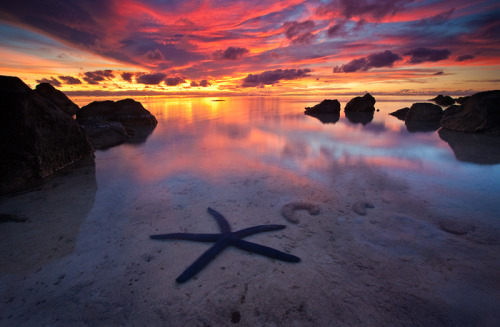 Aitutaki Lagoon, Cook Islands © Michael Anderson