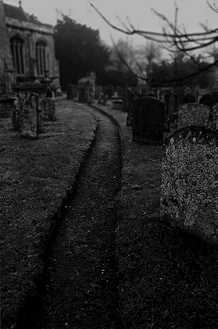 boundbyswordsandroses:  runscarletta:  ivyveins:  (via liquidspearwaltz &amp;