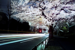 ailovejapan:  wind-blown night (via guen-k) 