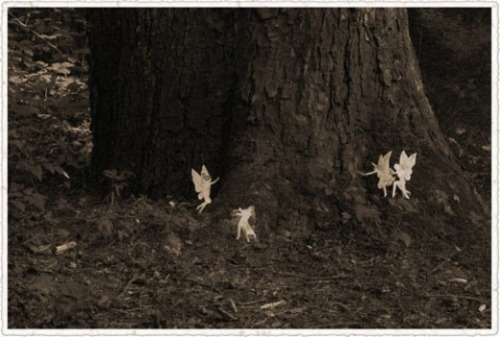 lovelybluepony:  butterflyflutterbygoodbye:  sophiejade:  (via allegra)   