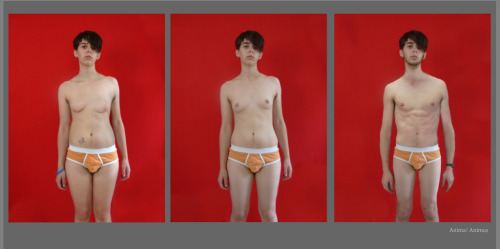 genderqueer:   transpride:   Anima/Animus by J. Aiden Simon.     Hormones are an interesting thing.