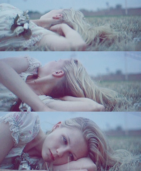 Virgin suicides