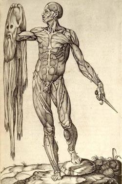 Anatomia del Corpo Humano by Juan Valverde de Amusco