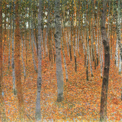 asaucerfulofcobras:Klimt - Beech forest, 1902.