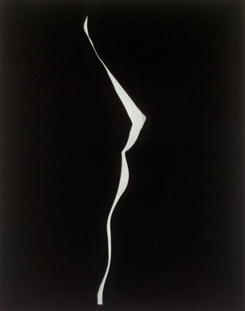 sem07it: tartanspartan:Breast Outline — Erwin Blumenfeld, 1948 human skyline ;-)