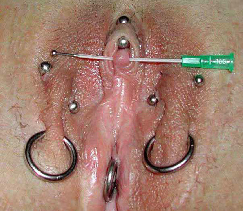 eipi0: jessicathepiercedwabbit: alisterbob:  berrie26:  alisterbob:  royalpainpiercing:  advancedsen