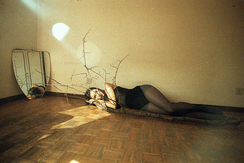 apassingfeeling:  (via poveralice)