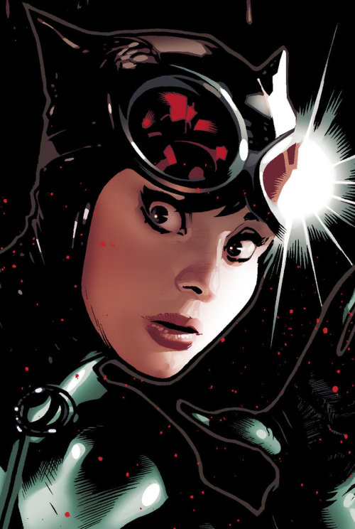 Catwoman sorprendido, por Adam Hughes.