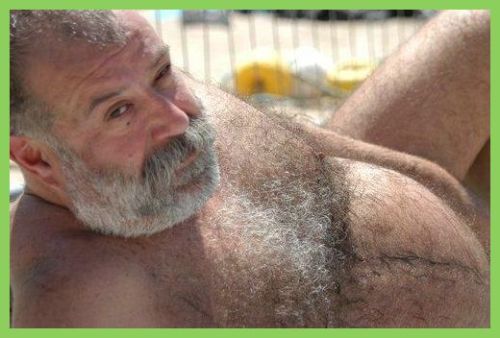 bigbears-mtl: silverbadbear: gdmaduros: love-dad-fan: homonline:Simply perfect! Gorgeous daddy