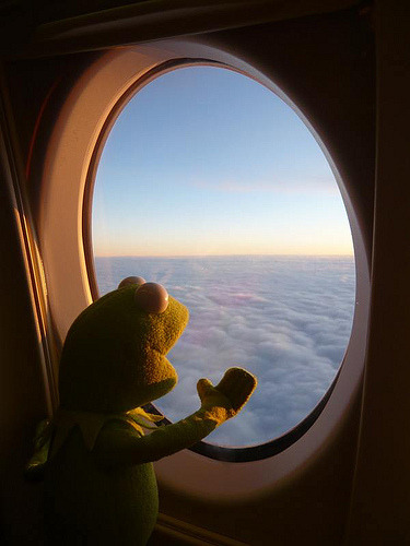 feelthelight:  kari-shma:  THIS (Photo by Kermit on Tour)  