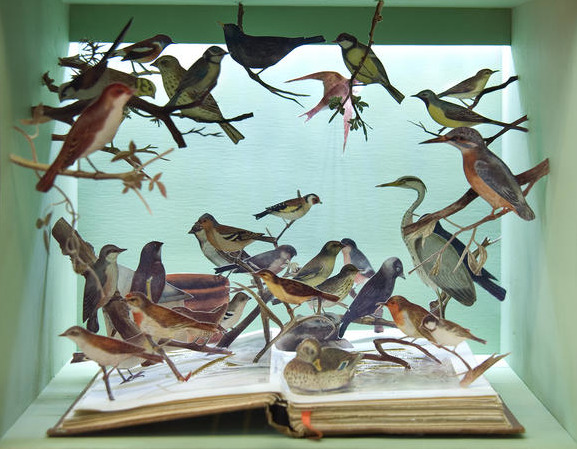windsweptribbons:  Su Blackwell Pockets for Keeping Books about Birds“I need some