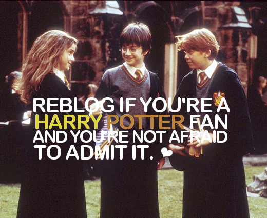 ally-kitty:  (via debzavelli, iamsirius) 