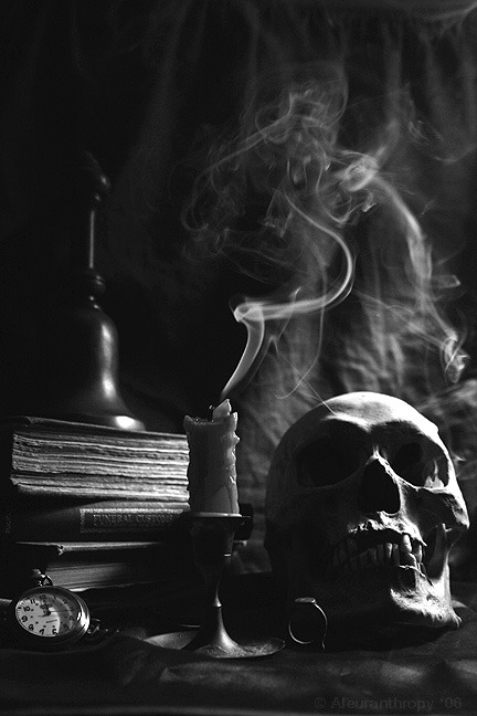 talithawalakutty:  laudanumandarsenic:  (via cavesoflilith) aristocraticelegance:kageroubt:hexenhaus:annacadaverous:necromantic:Aleuranthropy Me recordó Memento Mori!         Ależ cudowny kicz!