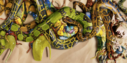 Snakes Illusion by Alexander McQueen.