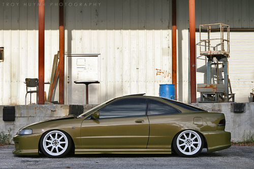 fuckyeahhellaflush:   (via fuckyeahhellaflushh-blog)