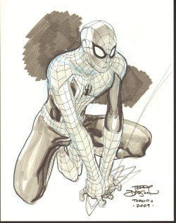 comicblah:  kandidkandor:  Spider-man | Terry