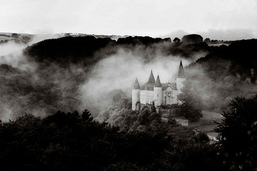 butterflyflutterbygoodbye:  coldterror:  nightandmist:funeral:allegra: (via helloluxlisbon)