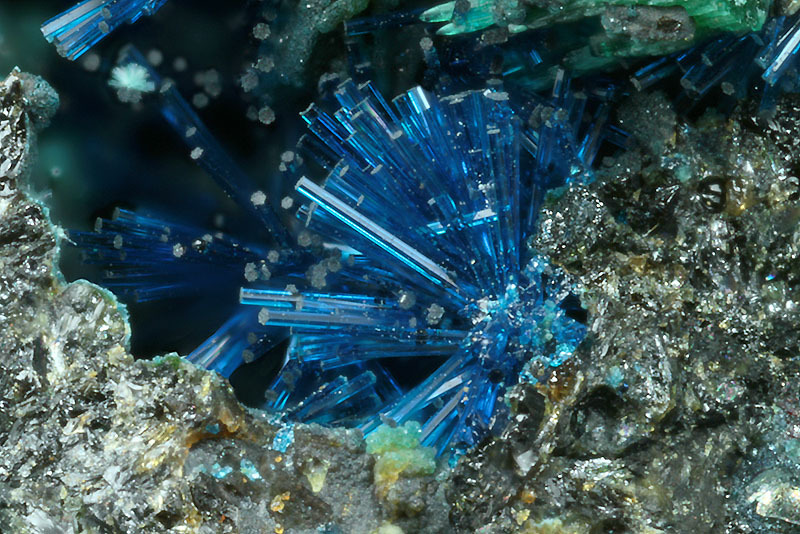 fuckyeahmineralogy:  inlovewithgeosciences:  Connellite 