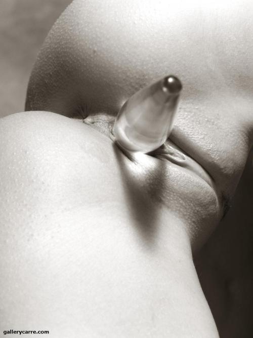 finenudes:  GalleryCarre.com - Black And White Erotic Photography 