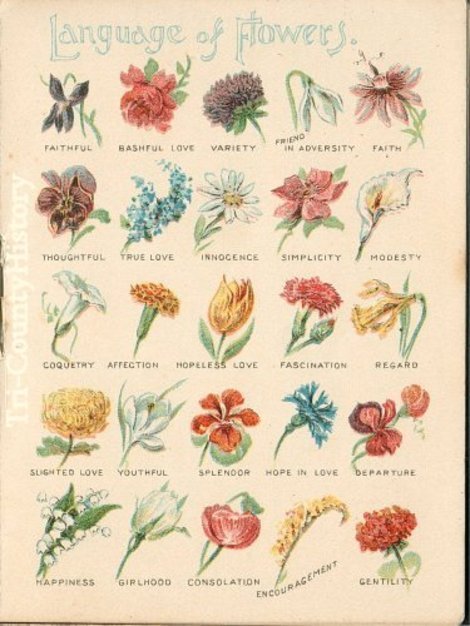 whoisemmaa:  endofmarch:  lafinparfaite:  historiful:  Floral symbolism chart, date unknown.     