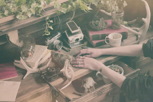 oceanfragrances:  (by gridlines) 
