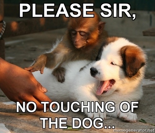 No touching of the dog…