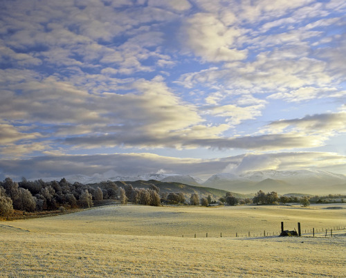 Cairngorm Milk and Honey - Aviemore, Cairngorm, Scotland © Ian Cameron