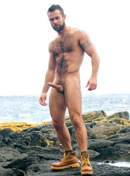 walksoffpiers:  yeahwhipitout:  jojophoug:  iheartscruff:  via nibblebit.com  