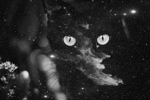 mystic4landshit:  christopher-walken:decompose:(via hannahdavison)(via violentdreams-)  