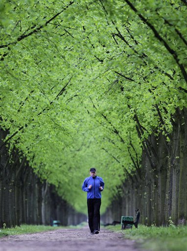 dailyme:  A jogger runs through an alley at the Herrenhaeuser Gardens park in Hanover, northern Germ