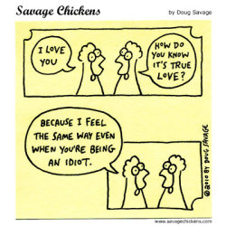 thedailywhat:   Savage Chickens.   Oh <3