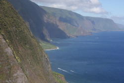 skekoa:  skekoa:  The world’s highest sea cliffs - Molokai.  