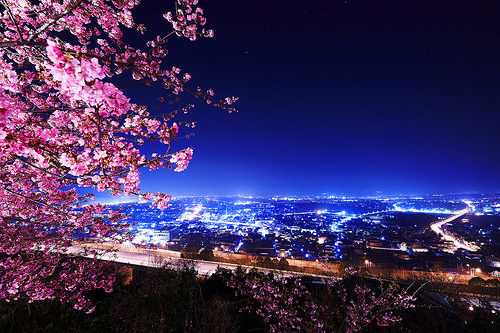 causebabyiwantto:    (via nanaisreal)