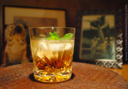 thedrunkenmoogle:  My Old Friend (Hotel Dusk: Room 215 Cocktail) Ingredients:1 shot Bourbon1 shot Wild Turkey American Honey  Stem of Mint  Directions: Pour over ice in a rocks glass.  Add a few leaves of mint to the top. As correctly answered in the