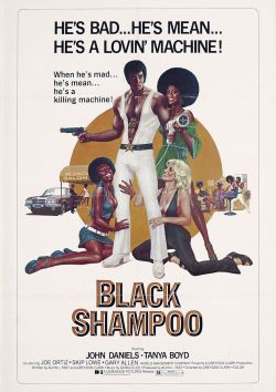 &ldquo;Black Shampoo&rdquo;     Hard days of workYou had a hard day at work babyI want you to sit down, relaxWhile I soak you in my mentalsBackrub style, watch this, yo, yoMassage, peppermint oil, shampoo and pearsCinnamon, aloe, natural for you hairSo