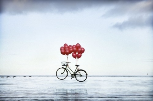 One Eyeland - The one community for creative photographers.