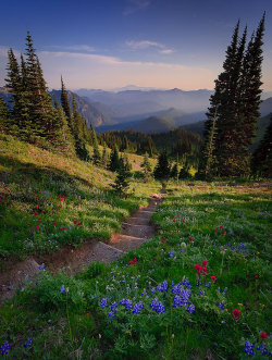 picture-perfect-world:  astonyen:  theworldwelivein:  Path to Forever - Nisqually Vista, Washington © Bryan Swan   