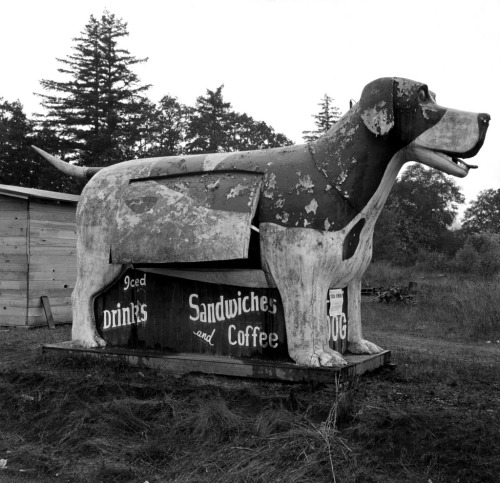 Refreshment stand on U.S. 99, Lane County, porn pictures