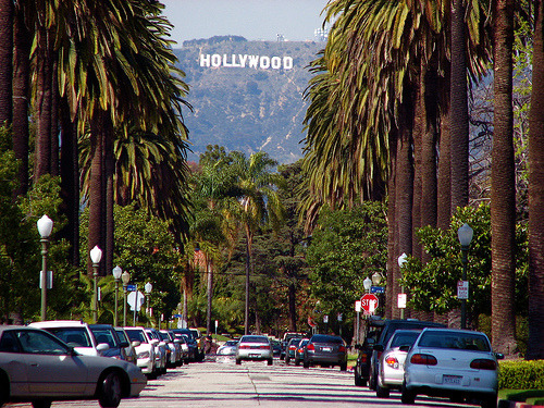 thesweetestlovee:  ijustloveeit:   potatopotatoe:  cookiemonstereatscookies:  (via thisiskateee, theprettykitty)      I want to stay there forever.heheee :))))