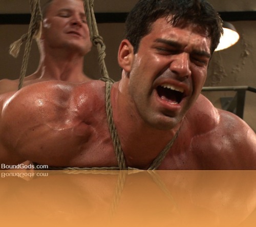 naggisch:  guns-up-the-bum:  Brenn Wyson and Vince Ferelli