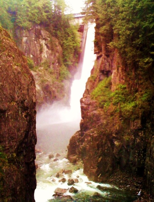 Capilano river gorge 2010.05.16